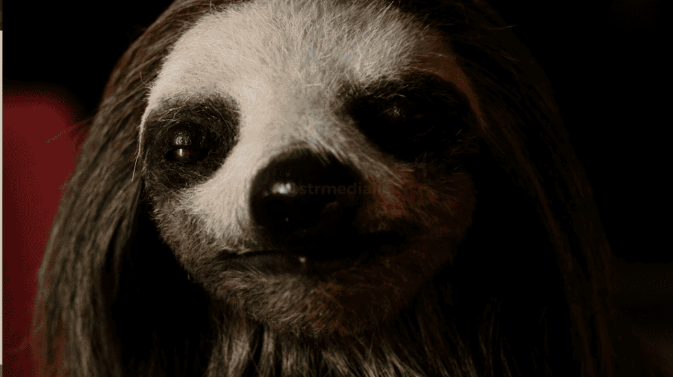 Slotherhouse (2023) Review: A Hilarious Horror Film About a Killer Sloth